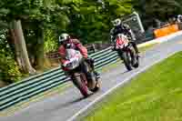 cadwell-no-limits-trackday;cadwell-park;cadwell-park-photographs;cadwell-trackday-photographs;enduro-digital-images;event-digital-images;eventdigitalimages;no-limits-trackdays;peter-wileman-photography;racing-digital-images;trackday-digital-images;trackday-photos